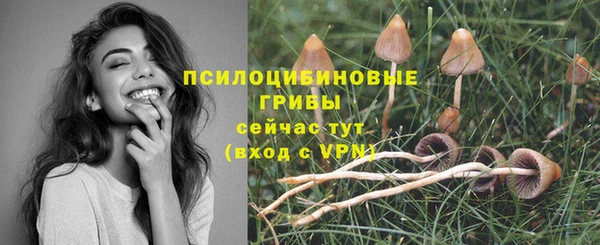 дживик Алзамай