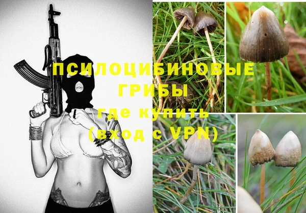крисы Абдулино