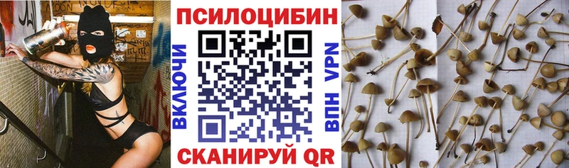 darknet клад  Королёв  Галлюциногенные грибы ЛСД 